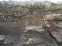 Albums/20060200-New Zealand 2006/20060316-Twiz/3